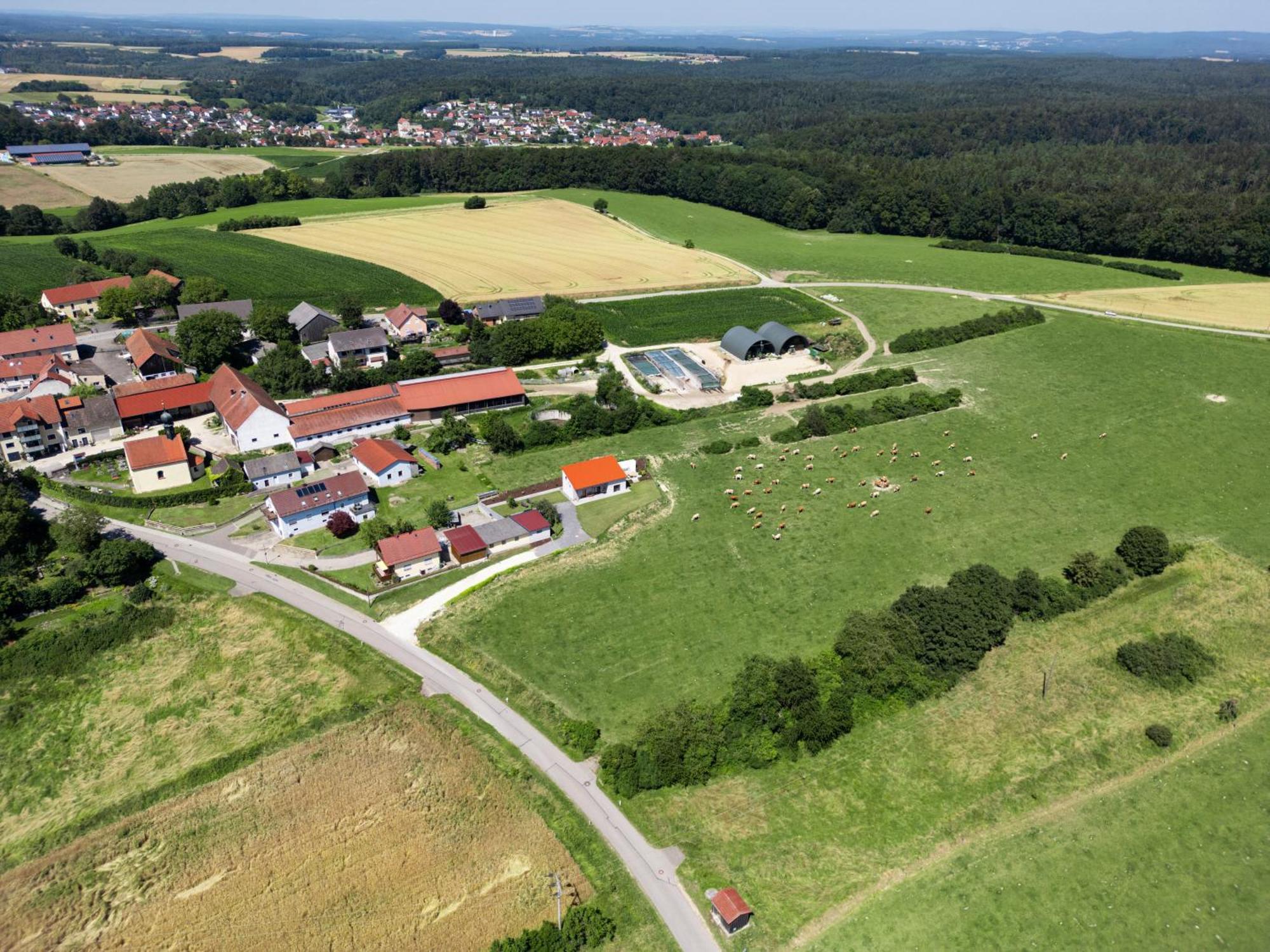 Wo Sich Kuh, Fuchs Und Hase Gute Nacht Sagen Lägenhet Wolfsegg Exteriör bild